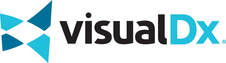 Visual DX Logo